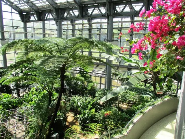 🏞️ 가나가와 현립 사가미하라 공원 이미지 4